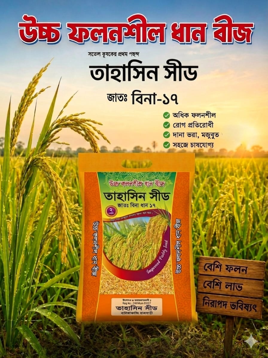 উচ্চ ফলনশীল বোরো ধান বীজ