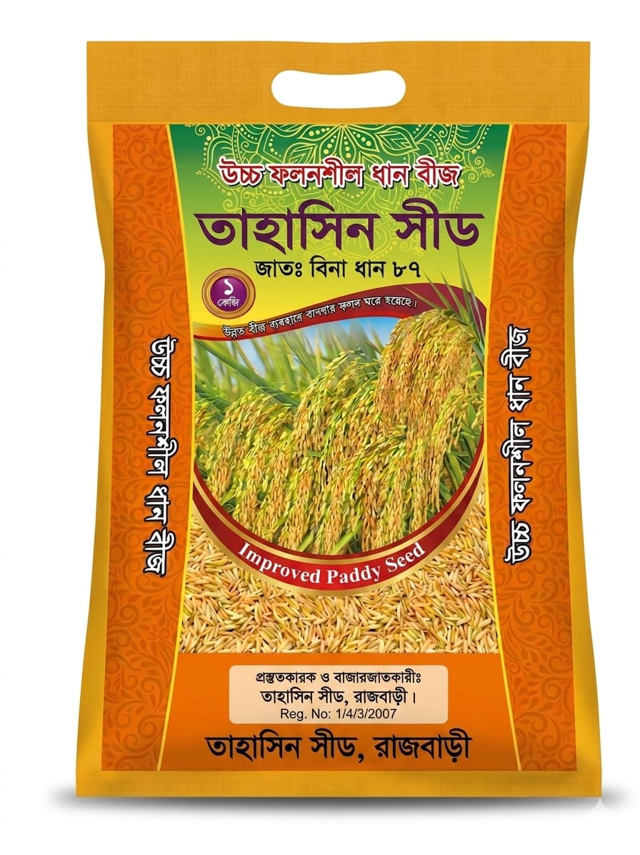 উচ্চ ফলনশীল বিনা ধান ২৫