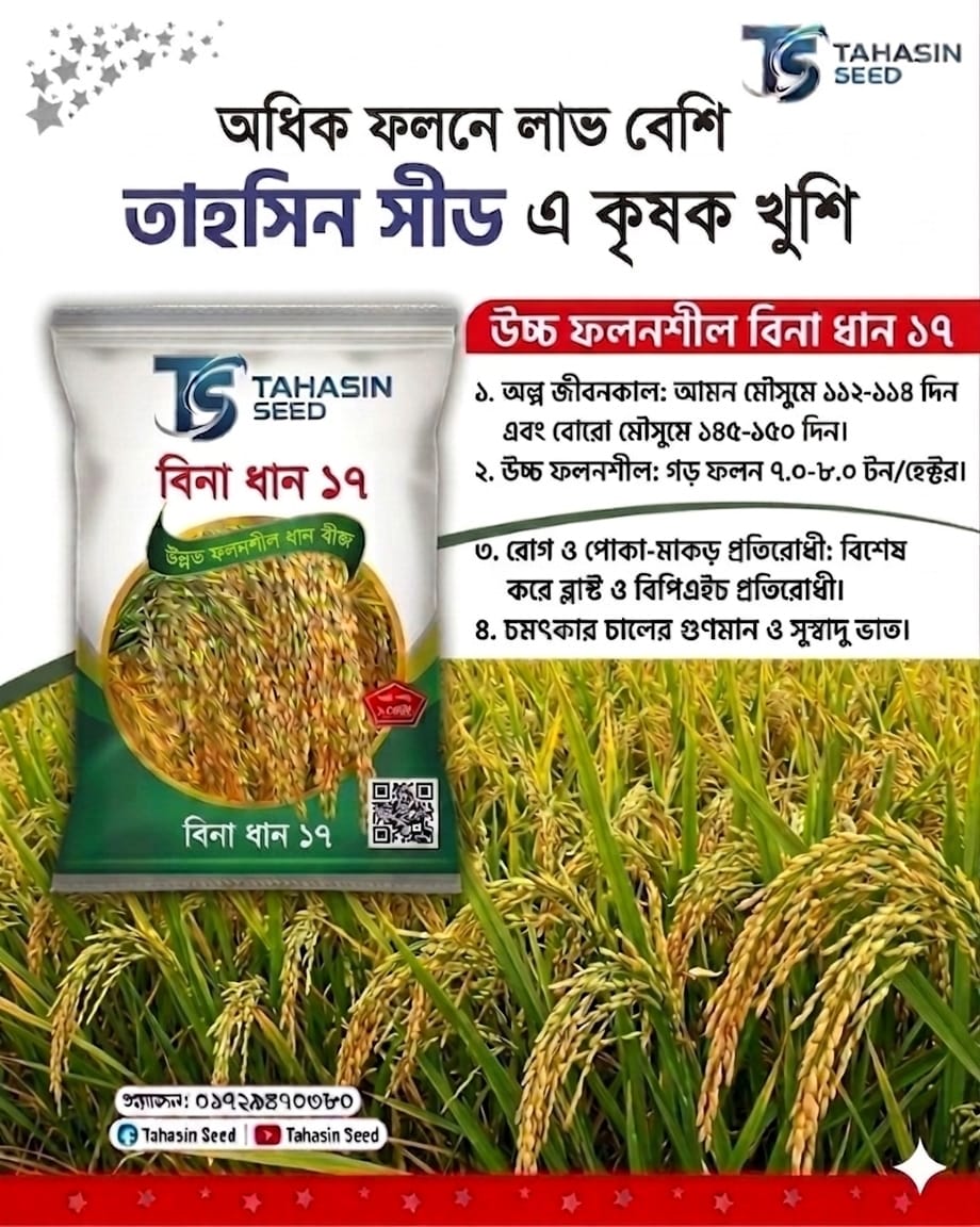 উচ্চ ফলনশীল বিনা ধান ১৭