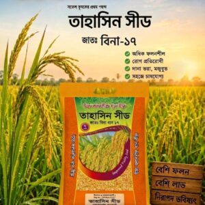 উচ্চ ফলনশীল বিনা ধান ১৭|   ২ কেজি প্যাকেট