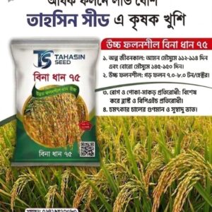 উচ্চ ফলনশীল বিনা ধান ৭৫|   ২ কেজি প্যাকেট