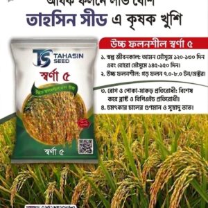 উচ্চ ফলনশীল স্বর্ণা ৫ আমন মৌসুমের সর্বোচ্চ ফলন |  ২ কেজি প্যাকেট