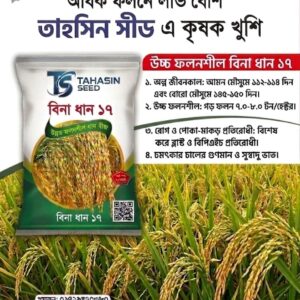 উচ্চ ফলনশীল বিনা ধান ১৭|   ২ কেজি প্যাকেট